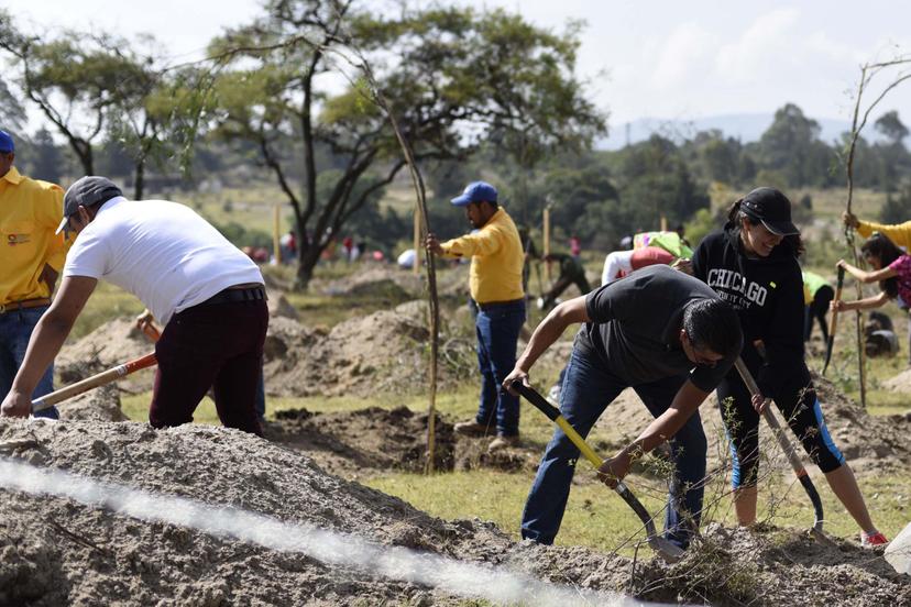 Lanza BUAP concurso de proyectos innovadores para el desarrollo sostenible