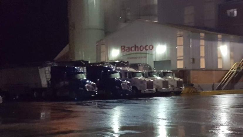 Comandos roban Bachoco y Coca Cola en región de Tecamachalco