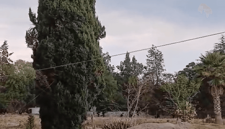 VIDEO Balacera y persecución en San Francisco Totimehuacan deja un detenido