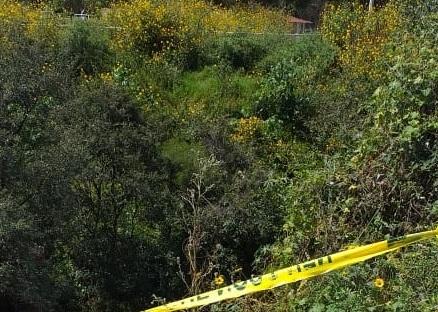 Mueren cinco por caída de aeronave en Michoacán