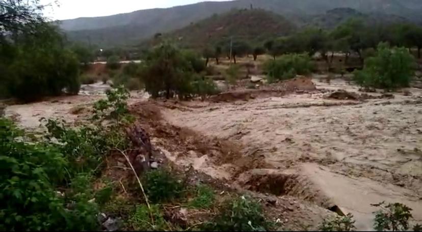 Postes caídos y ganado perdido tras barrancada en San Antonio Cañada