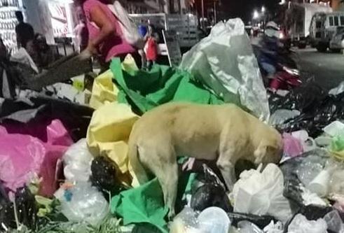 Atlixquense dejan de generar 10 toneladas de basura al día por confinamiento