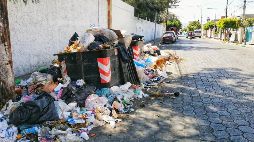 Harán mega jornada de recolección de basura en Tehuacán