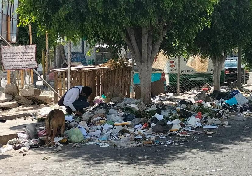 Pide síndico municipal de Tehuacán transparentar licitación de tratamiento de la basura