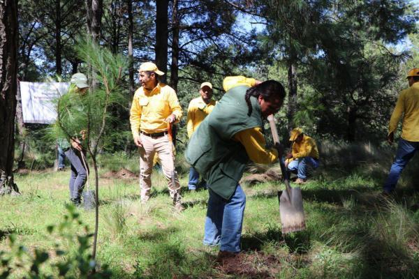 Puebla, entre los estados que más destinan recursos en protección ambiental