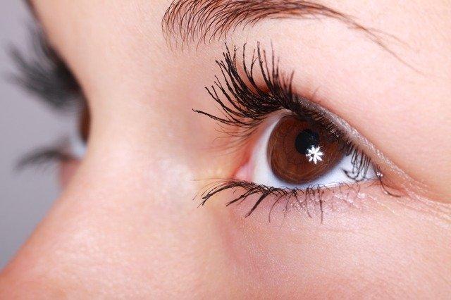 Oftalmólogos alertan sobre crecimiento de piojos en pestañas