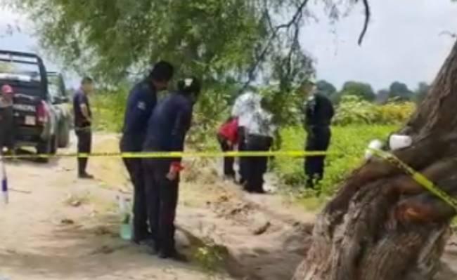 Hallan cadáver de bebé en sembradíos de Tehuacán