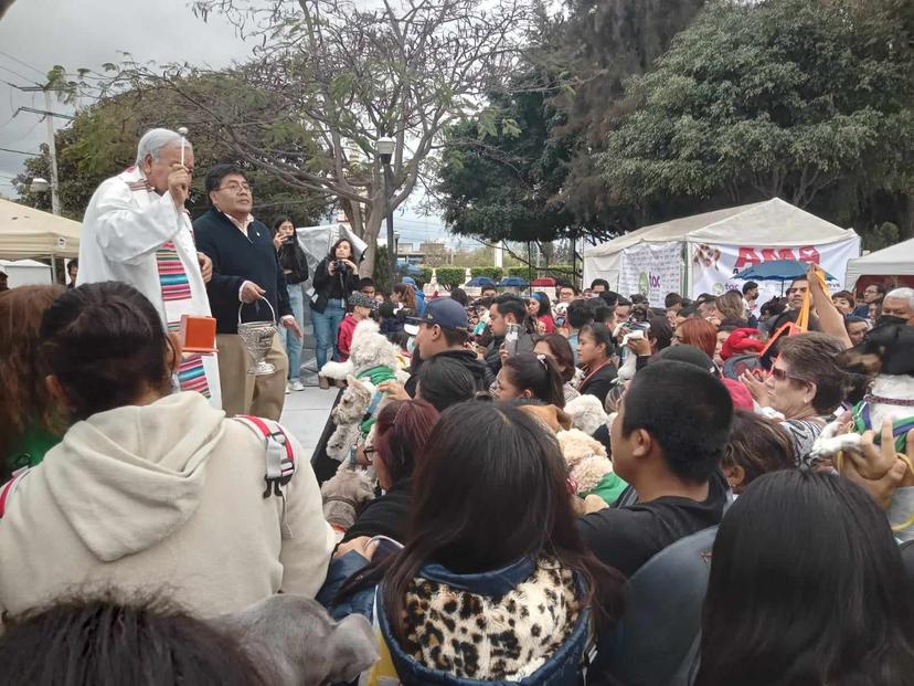 Anuncian una edición más de la bendición de mascotas en Tehuacán