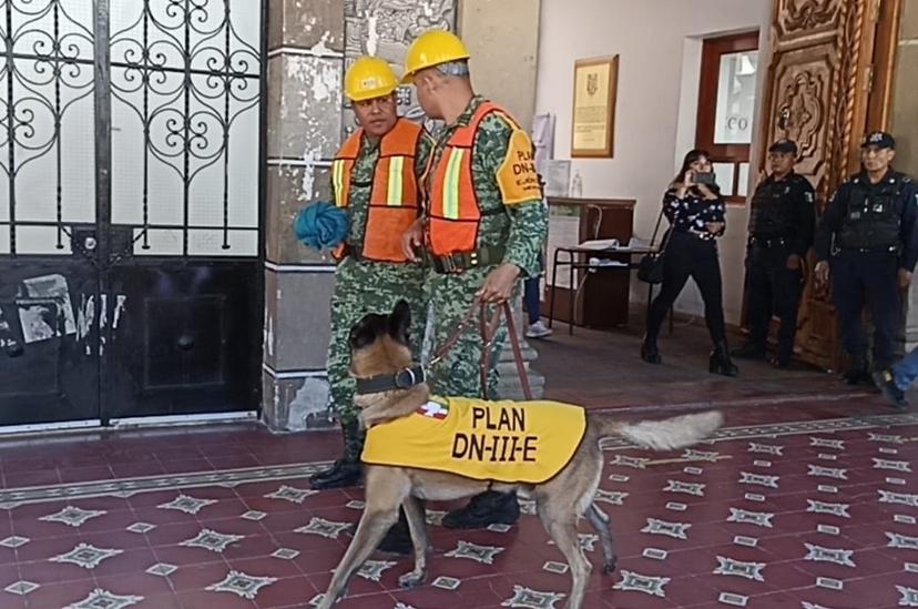 Tehuacán contará con binomio canino de búsqueda y rescate de personas