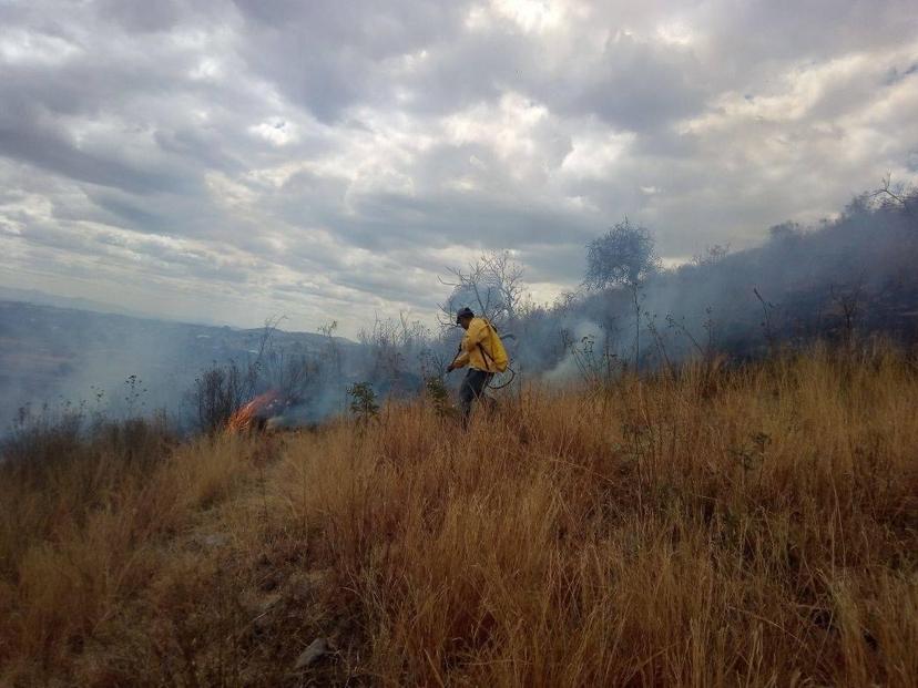 Buscan integrar en Atlixco la primera brigada anti incendios forestales