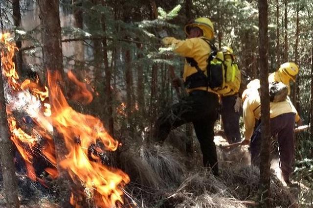 En Cuautempan y Quimixtlán alumnos tomarán clases virtuales por incendio forestal