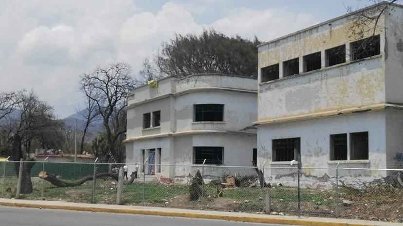 Continúan el derribo de árboles en la zona de los Bungalows en Tehuacán