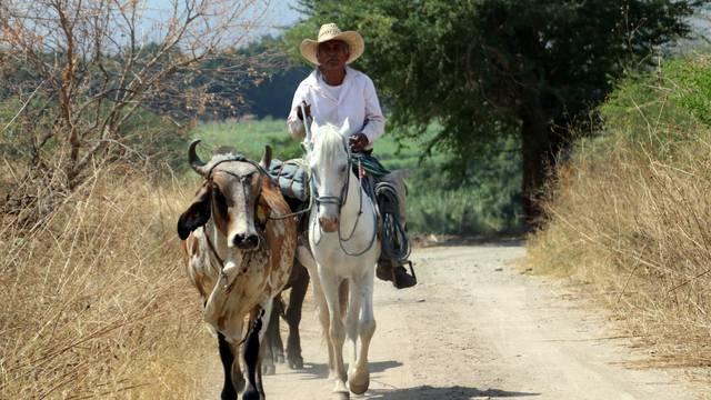 Hágase tu voluntad, en los bueyes de mi compadre: Las 5 de la 4T