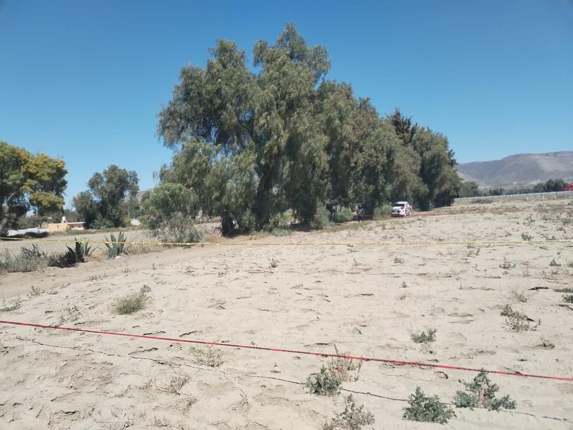 Hallan cuerpo de una mujer en Palmar de Bravo