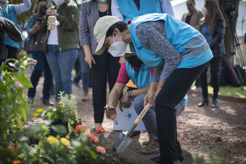 La rectora Cedillo pone en marcha jardines y andadores polinizadores en la BUAP