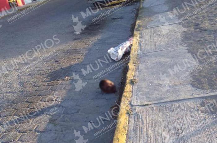 Lo decapitan y tiran afuera de escuela de Quecholac