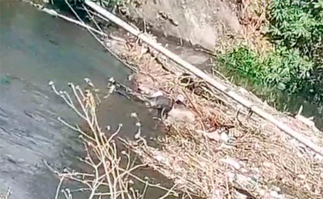 Hallan cadáver flotando en aguas negras del canal en Tecamachalco