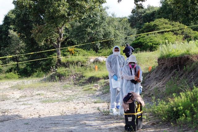 Protocolos de Alerta de Género, con avance de 70%: Manzanilla