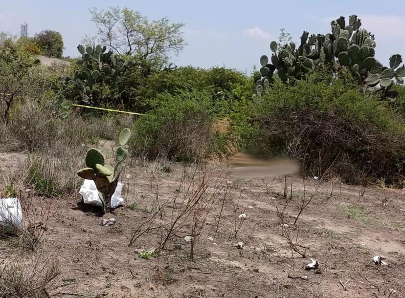 Hallan restos de hombre reportado desaparecido en Palmar de Bravo