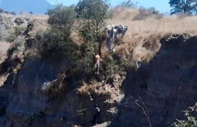 Golpean y cuelgan de un árbol a joven en Tepatlaxco