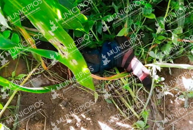 Hallan desmembrados en la región huachicolera de Texmelucan