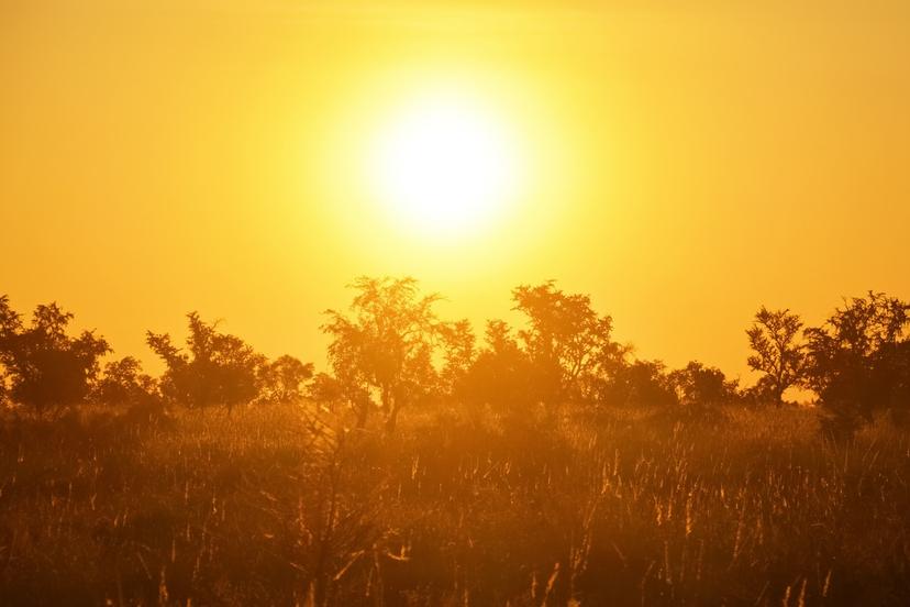 Ola de calor mata a más de 400 en Canadá y 80 en EEUU