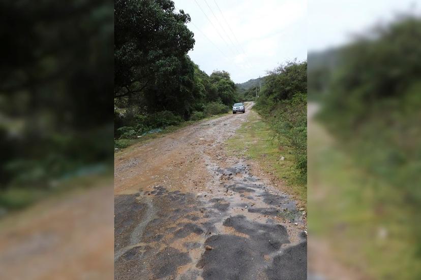 Rehabilitarán caminos rurales dañados por las lluvias