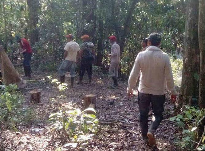 Iban por leña y encuentran restos humanos en Chignautla