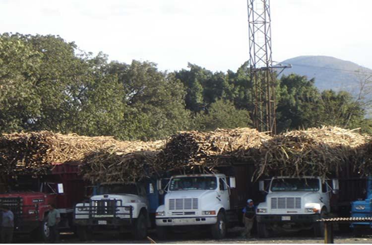 Alcanza ingenio de Atencingo histórica producción con zafra 2013-2014