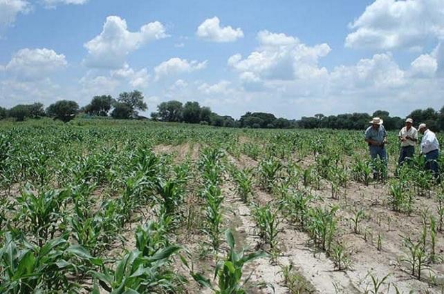 Apoya Hacienda cobrarle el agua al campo mexicano