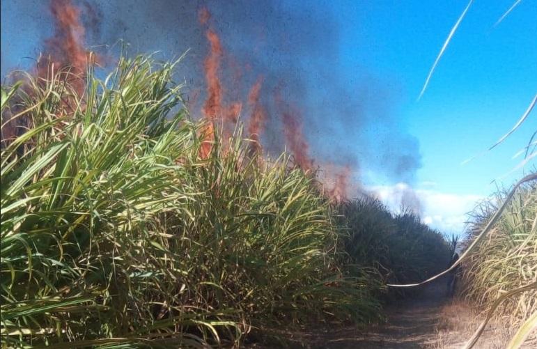 Suman alrededor de 10 quemas accidentadas de caña  