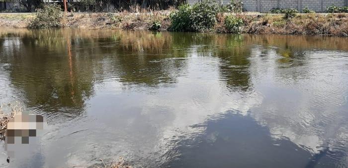 Localizan cadáver flotando en el canal en Tecamachalco