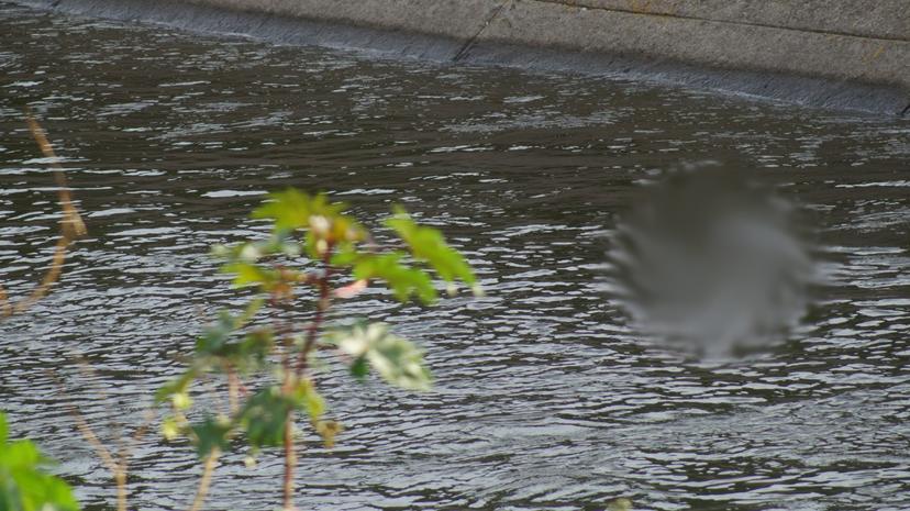 Localizan cadáver flotando en el canal de Valsequillo en Tecamachalco