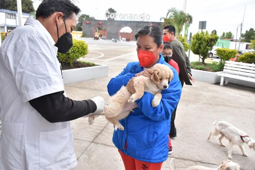 Realizó Coronango aplicación de vacunas contra la rabia a perros y gatos