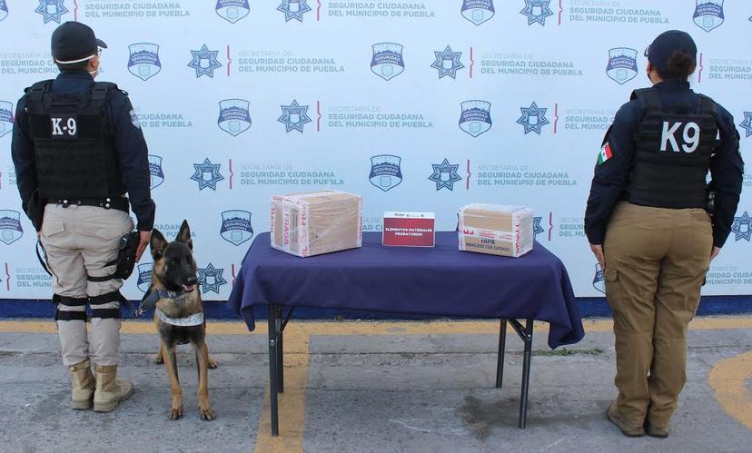 Canino recién ingresado detecta paquetes con droga en la CAPU