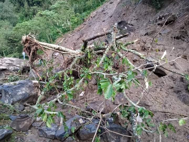 Caída de piedras y árboles en camino principal incomunica a Hermenegildo Galeana