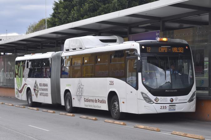 Pide diputada que RUTA no sature de pasajeros sus unidades