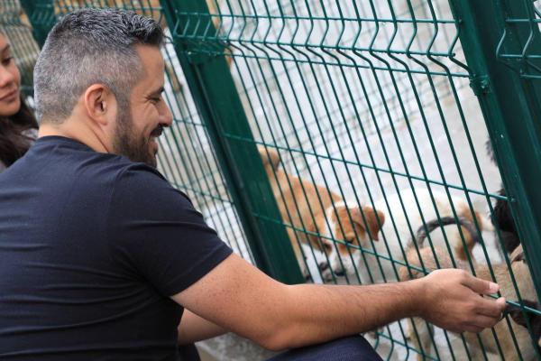 Así puedes adoptar una mascota en la Estancia Bienestar Animal en Amalucan 