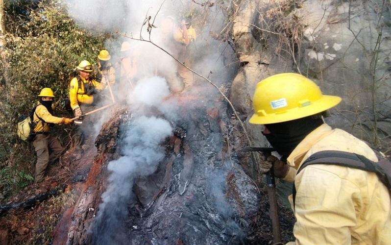 Marcha Puebla en 4to sitio en incendios forestales en 2024