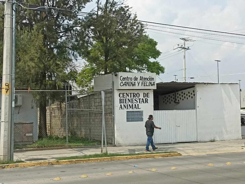 Emiten autoridades estatales recomendaciones al Centro de Bienestar Animal de Tehuacán 