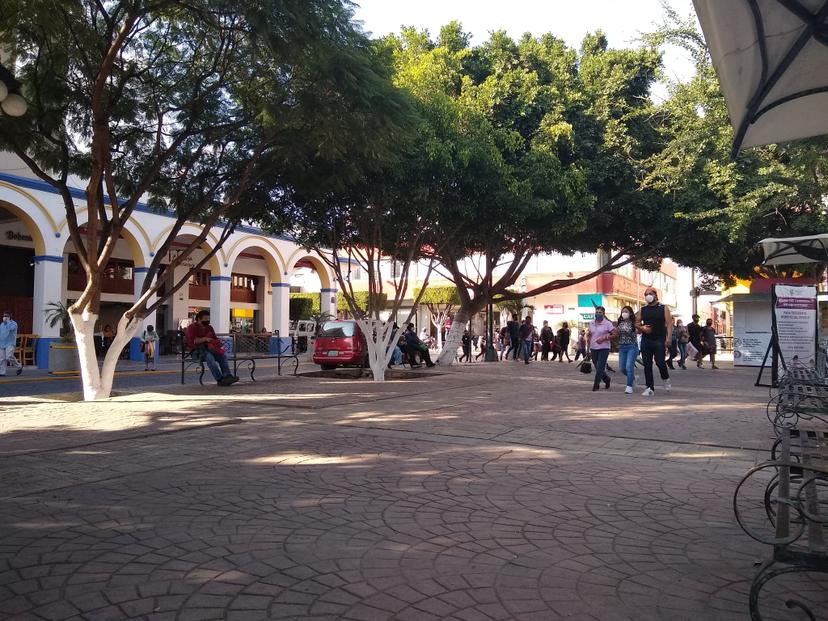 Árboles del Parque Juárez de Tehuacán en riesgo por el Hongo Negro 