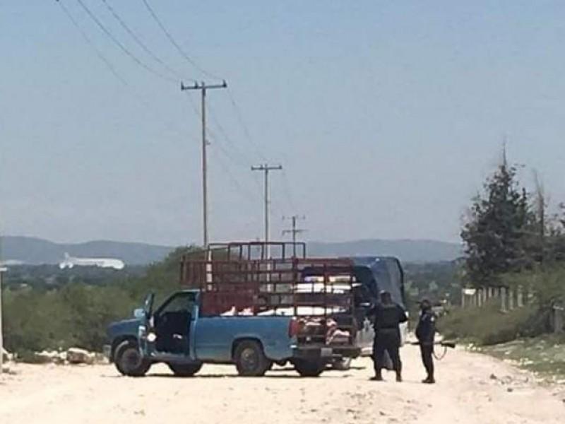 Tras balacera recuperan camioneta robada con cerdos en Tepanco