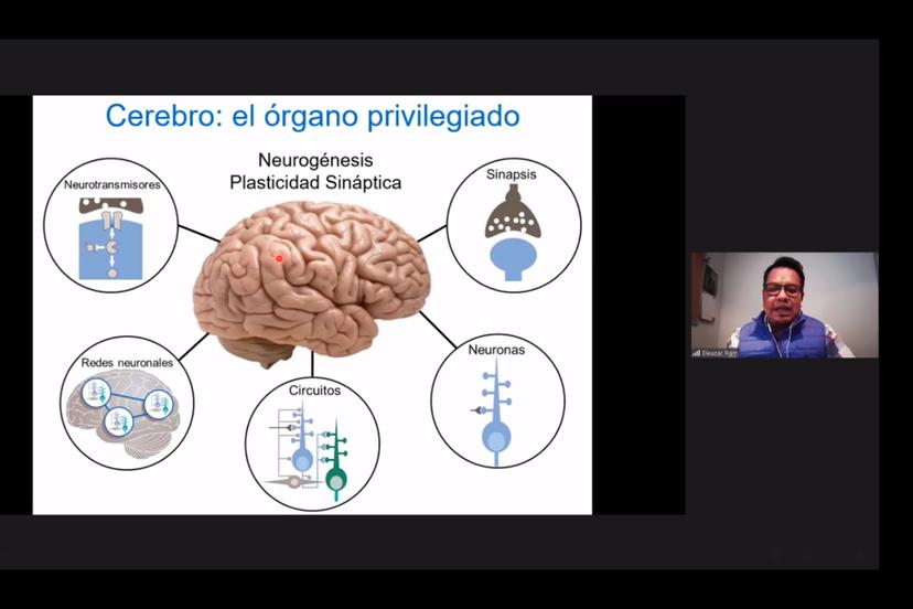 La inflamación, un factor común en daño neuronal