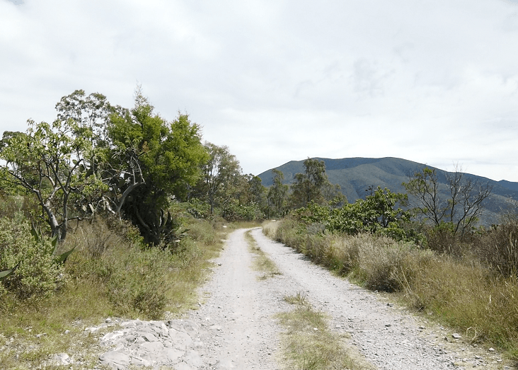 En riesgo, suministro de agua a 29 municipios del Valle de Tecamachalco