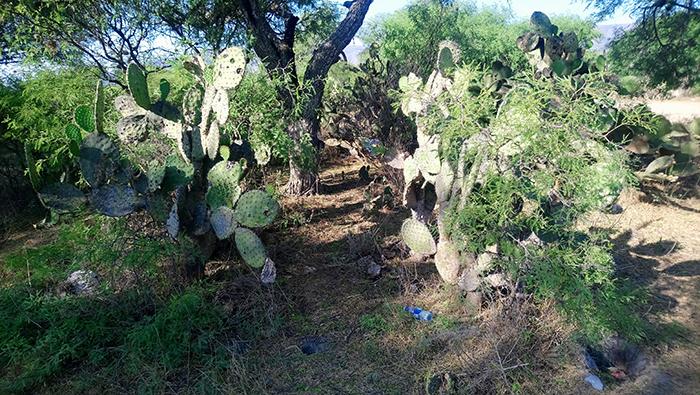 Hallan cadáver putrefacto en cerro de Tecamachalco