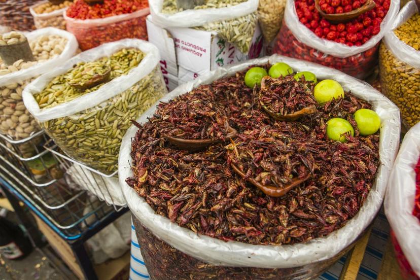 Llegó la temporada de cuetlas y chapulines en Izúcar  