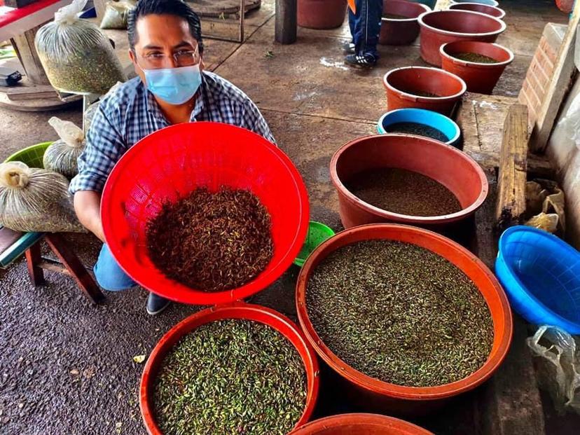 Rescatarán del olvido a productores de chapulín en Juan C. Bonilla