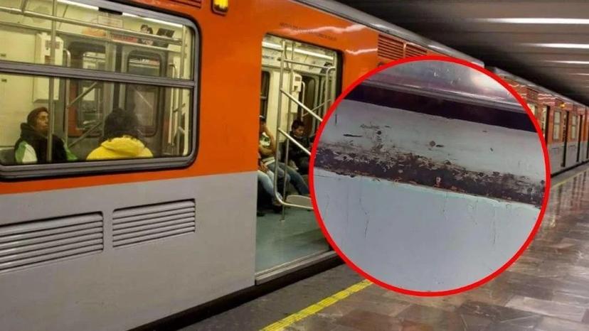 Y ahora con ustedes las chinches en el Metro de la Ciudad de México