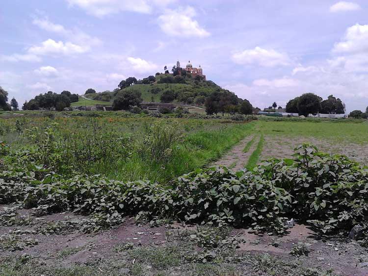 Reduce Leo Paisano valor de tierras en zona arqueológica de Cholula