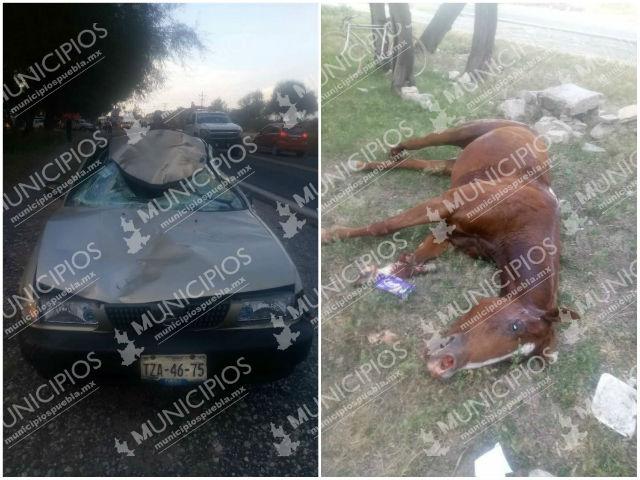Fallece hija de ex diputado por Tehuacán al desbocarse su caballo 